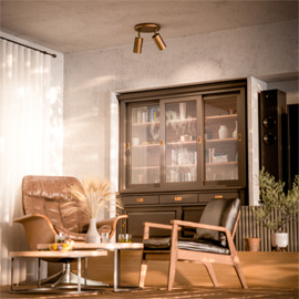 Evanston Twin Ceiling Light